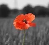 LEST WE FORGET